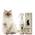 Entfilzungsspray von 101 love for pet