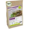 Bio Hanfsamen von Vita2You