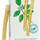 Miswak