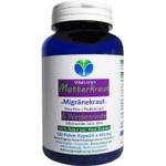 Vitalleben Mutterkraut