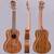 Winzz Konzert Ukulele