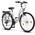 Stella Premium City Bike von Licorne Bike