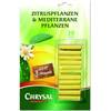 Zitruspflanzen & Mediterrane Pflanzen von Chrysal