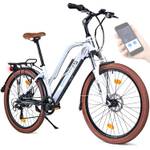 E-Bike Damen