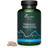 Sport Tribulus Terrestris von Vegavero