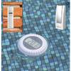 POOLTHERMOMETER MA 10070 von Technoline