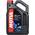107693 3000 4T von Motul