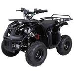 Actionbikes Motors PR0001396