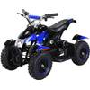 Mini-Quad ATV Cobra 800 von Actionbikes Motors