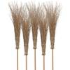 Bambusbesen Spar Set von Agrarflora