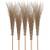 Agrarflora Bambusbesen Spar Set