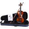 Violin von Aileen