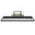 Alesis Recital
