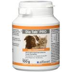 Probiotikum Hund