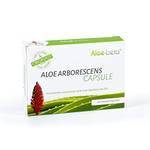 Aloe-beta Aloe Arborescens