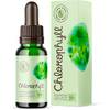 Chlorophyll-Tropfen 50 ml von Alpha Foods