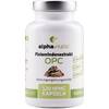 Pinienrindenextrakt OPC von alphavitalis