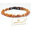Amber Neck Bernstein-Halsband Hund