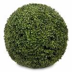 Buchsbaumkugel