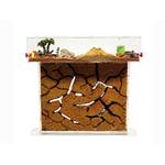 Anthillshop Ameisenfarm T
