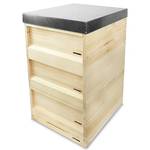 Bienenstock