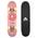 Apollo Skateboard von Apollo
