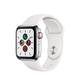 Apple Watch Series 5 (40 mm Edelstahl, GPS + Cellular) Produkttest