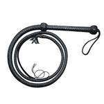 Bullwhip
