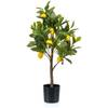 Kunst Zitronenbaum von artplants.de