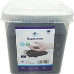 Rapssamen