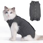 Katzenbody