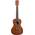 MK-C Konzert-Ukulele von Kala