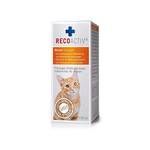 Recoactiv Nieren Tonikum/Tonicum