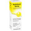 Terbiderm Spray von Dermapharm AG Arzneimittel