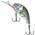 QHT047 von Salmo