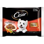 Cesar AM78L