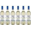 Sauvignon Blanc von Two Oceans