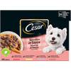 4008429079573 von Cesar