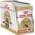 Maine Coon Adult von Royal Canin