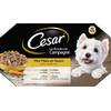 358208 von Cesar