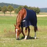 Horseware  ACEJ60-BJ00-78