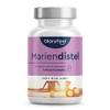 Gloryfeel Mariendistel