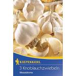 Kiepenkerl 611429 Knoblauch Messidrome