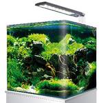 60-Liter-Aquarium