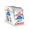 Indoor Sterilised von Royal Canin