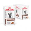 Gastrointestinal von Royal Canin