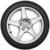 Winterhawk 4 von Firestone