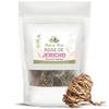 Rose von Jericho von Herbes du Monde