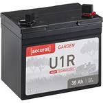 Accurat U1R