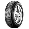 Cinturato Winter 2 von Pirelli